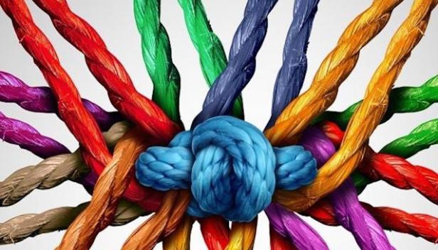 Social Cohesion