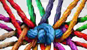 Social Cohesion