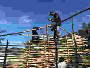 Mozambigue Baha'i