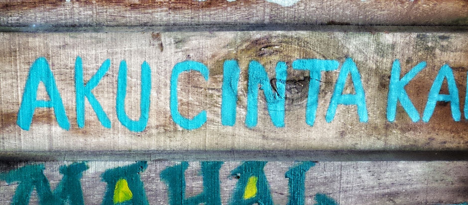 The Eighth Principle—Universal Language and Universal Peace