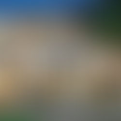 Dual Occupancy Homes: A Considered Guide to Design, Feasibility and Choice