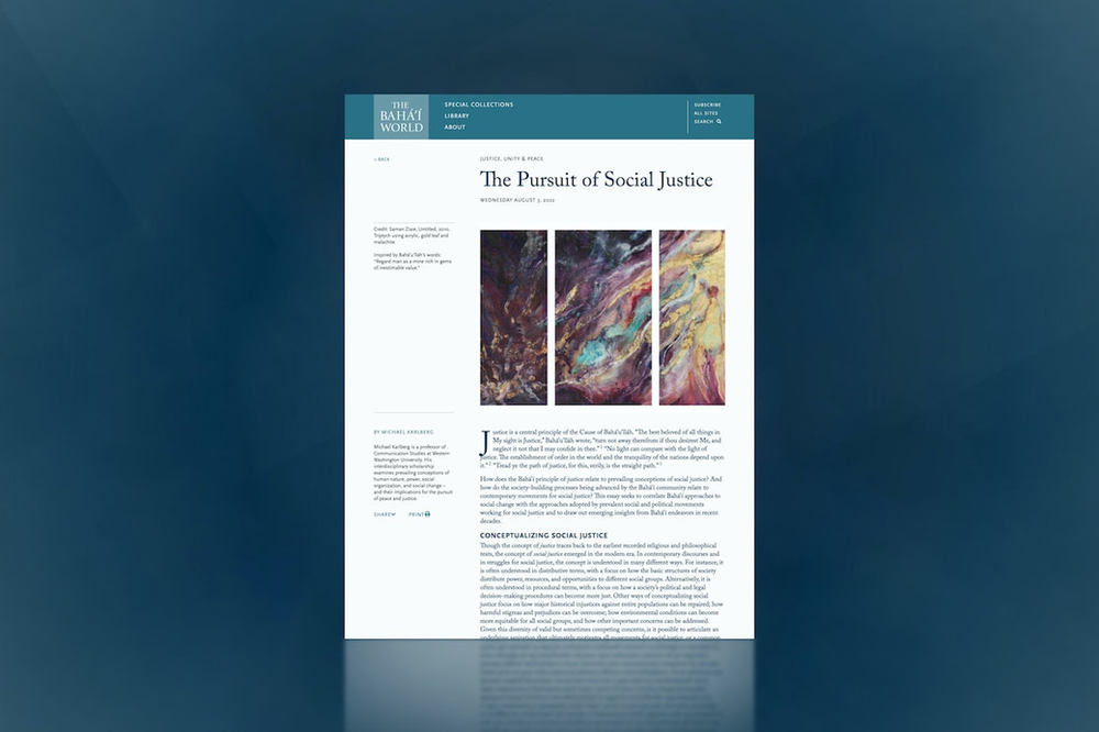 an image of an article titled "the pursuit of social justice"