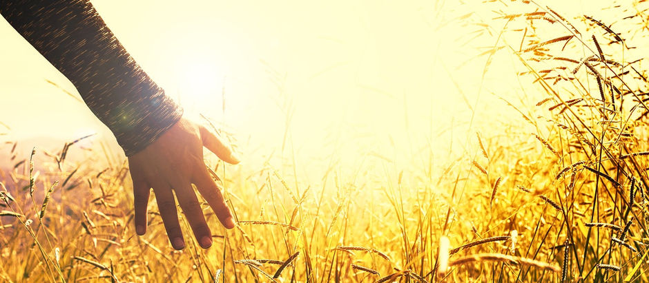 Bahá'u'lláh: His Teachings