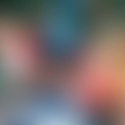 Eco Club’s Sensory Garden Makeover!