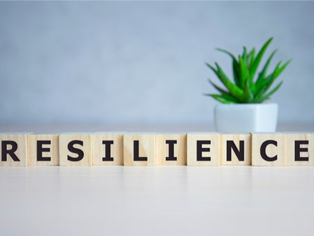Riding the Wave of Resilience