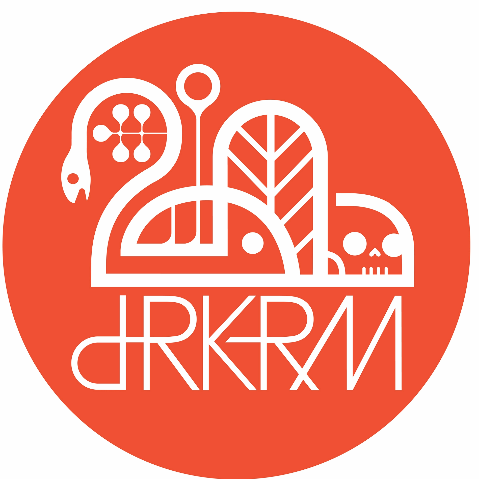 Darkroom Skateboards In Stock!