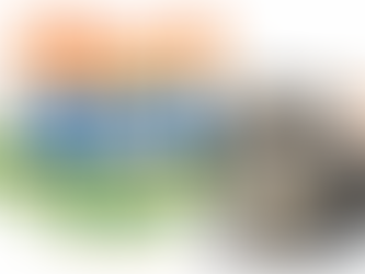 March 2026 SECO News