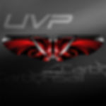 UV Printed Wing 1412P
