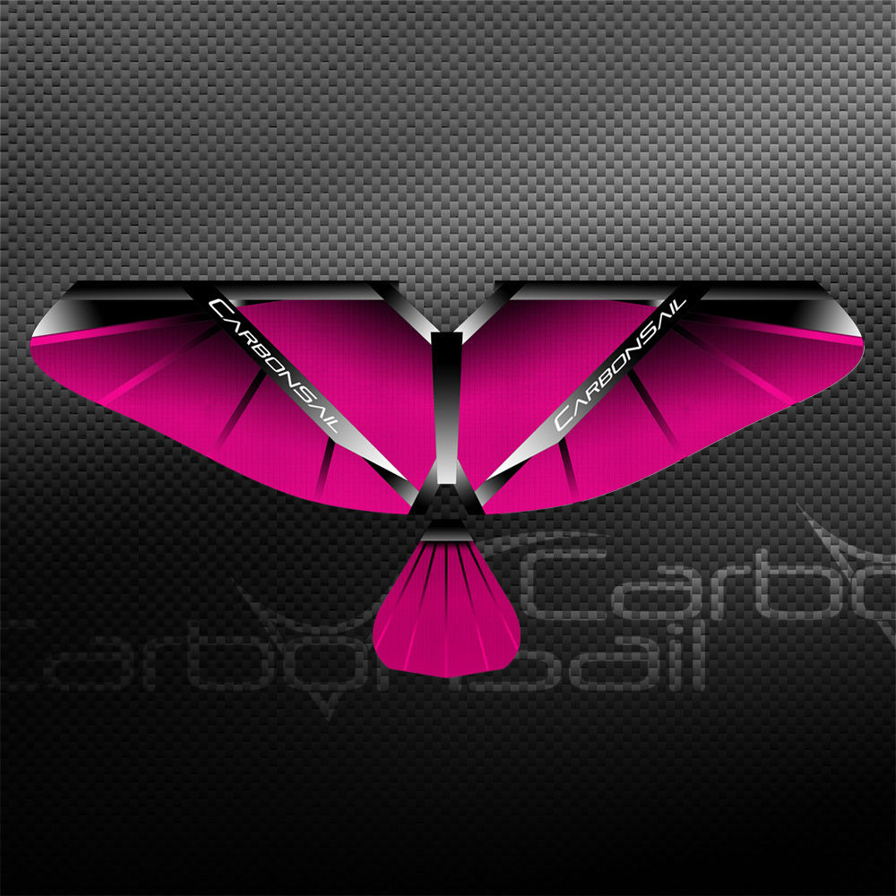 1.3m Raspberry SD Wing