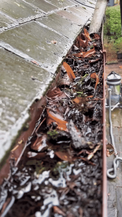 Blocked gutters are one of those problems you don’t notice… until they start causing expen