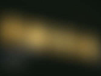 An Image is Worth... How Many Words?