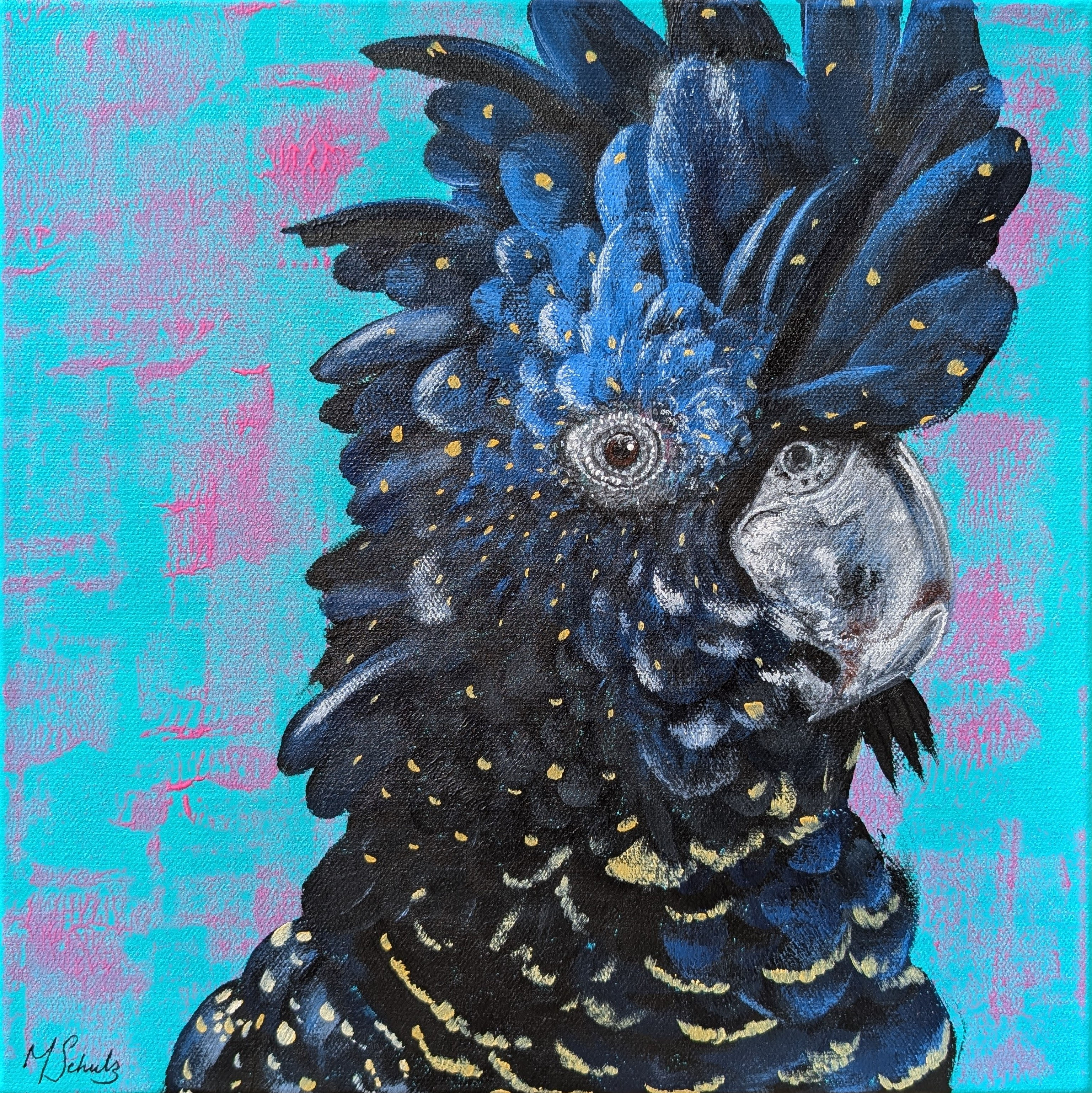 Red-Tailed Black Cockatoo