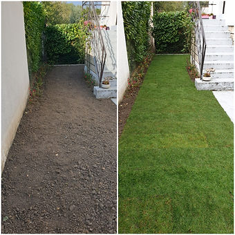 paysagiste-ehni-patrick-jardinier-elagueur-drancy-93-pose-pelouse-5.jpeg