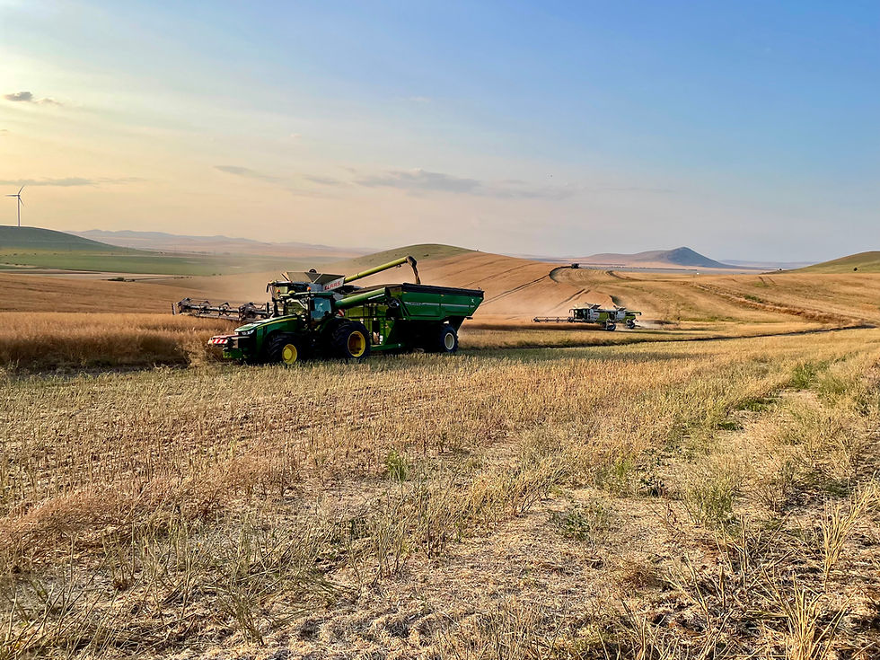 How we work nouvelle .jpeg