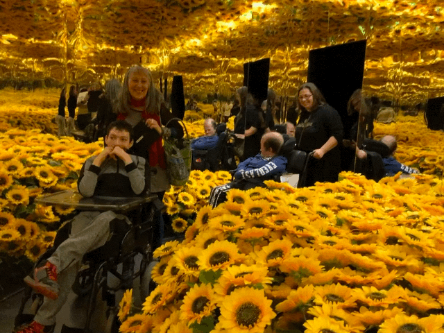 Van Gogh Alive - Spark Arena