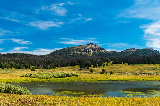 iStock-1371378658.jpg