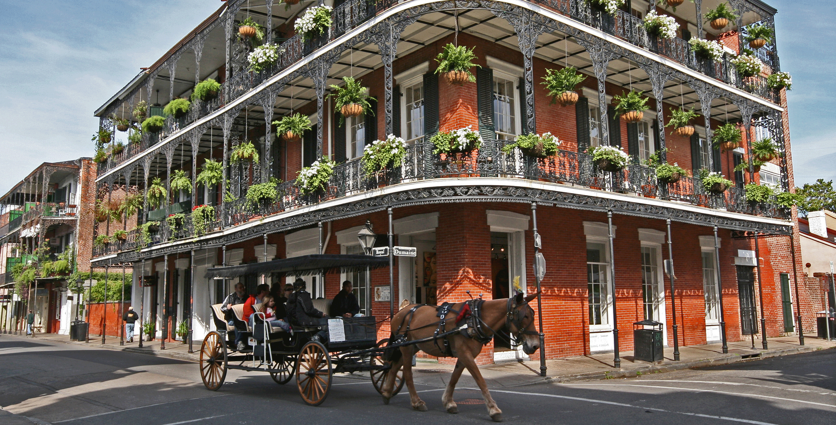 new-orleans-travel-guide-top-sights-and-food-shershegoes.com_.gif