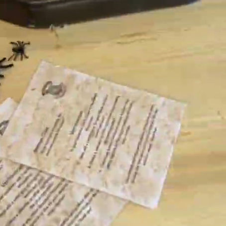 What do we do at our Workshops?