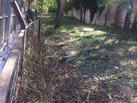 Faruk Nafiz Çamlıbel Sokak Yeşil Alan Temizliği