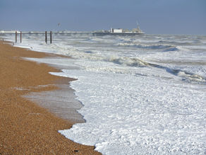 Brighton Pavilion's Political Kaleidoscope: Gray's Challenge to Green's Reign