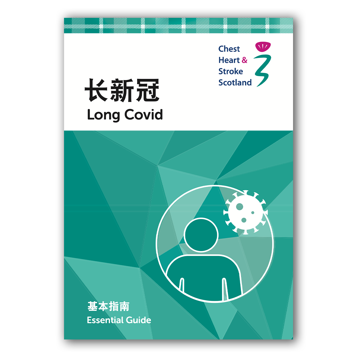 E39 (Chinese) -Long Covid