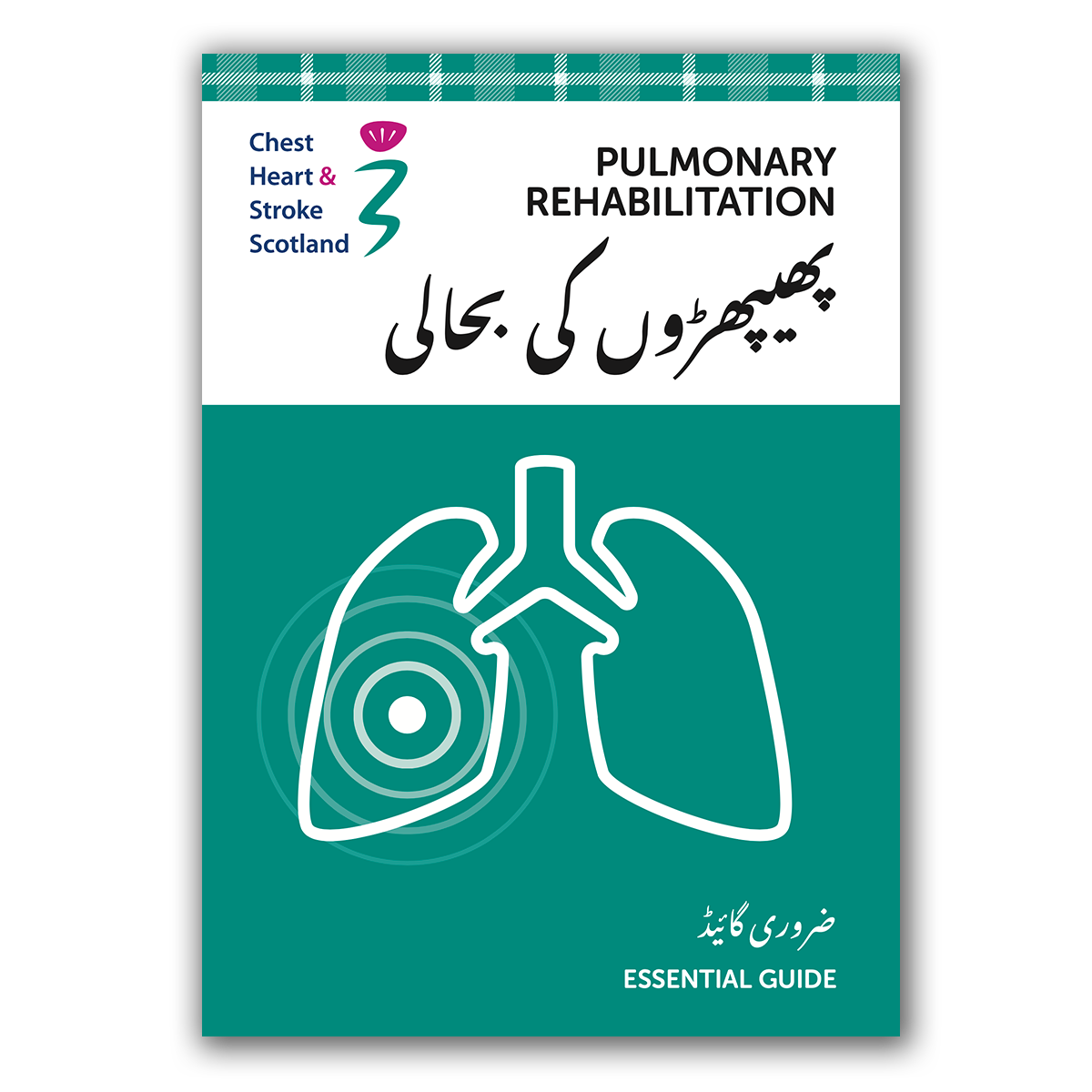 E21 (URDU) - Pulmonary Rehabilitation