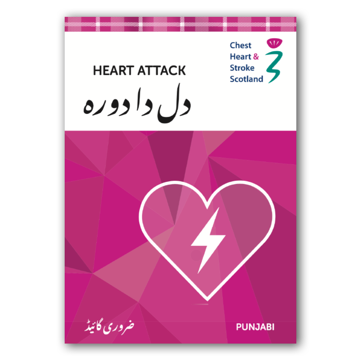 E35 (Punjabi) - Heart Attack