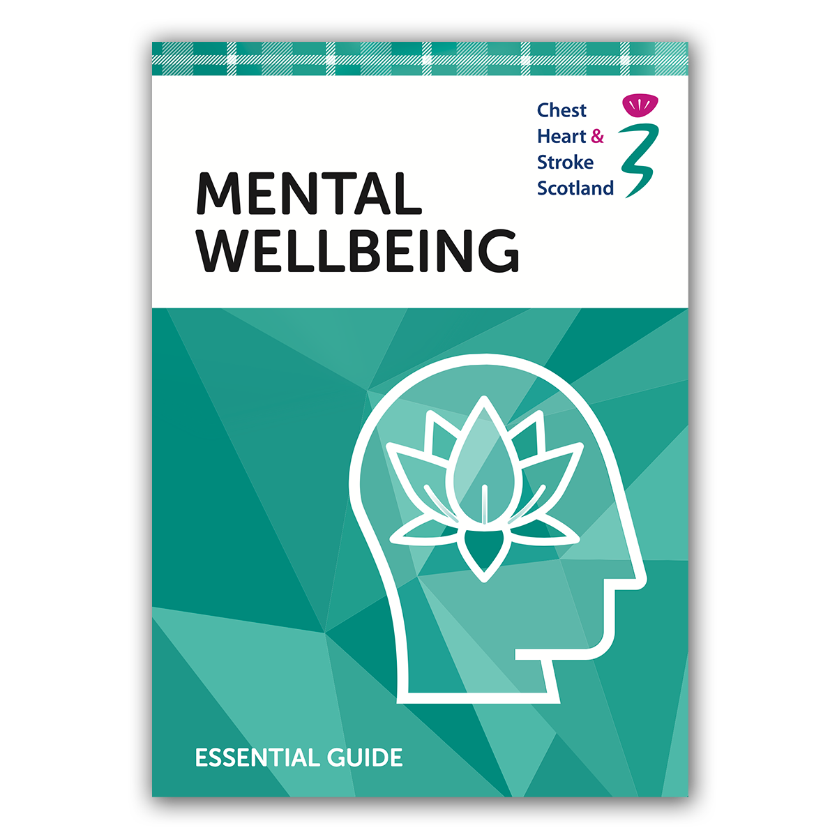 RP - E6 Mental Wellbeing (PDF)