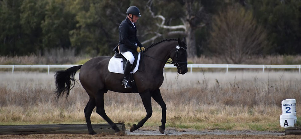 Dressage horse, Leeton Dressage