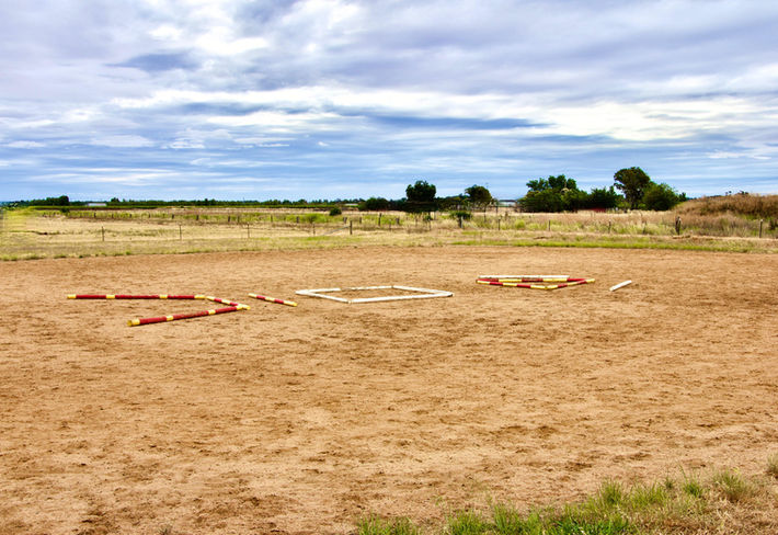 Fish poles arena exercises.jpg