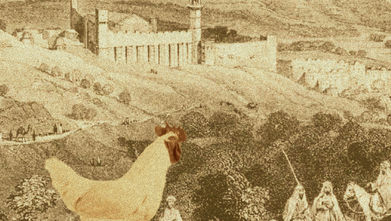 The Rooster and the Hidden Burrow