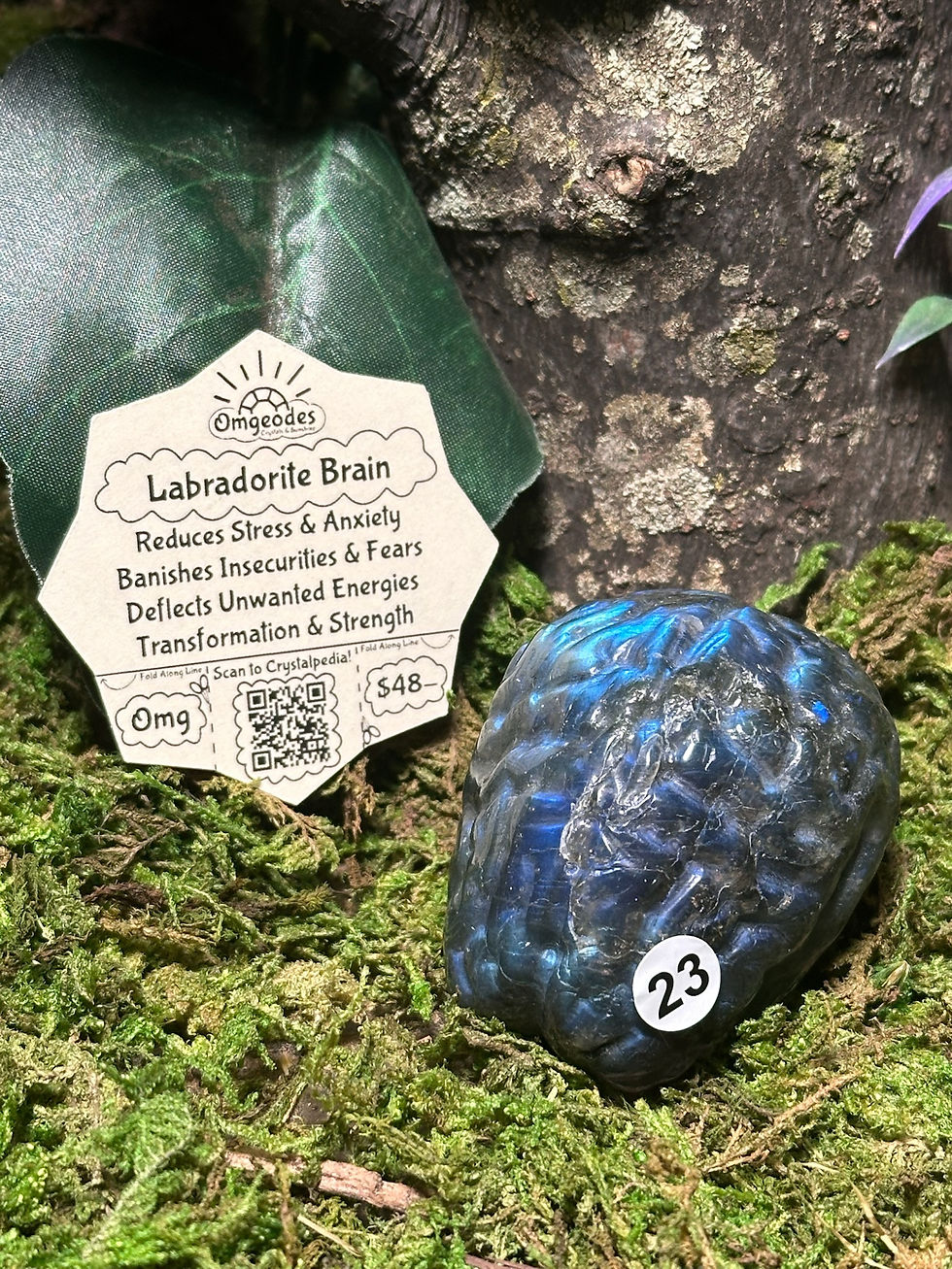 Labradorite Brain with Omgeodes Meaning Tag