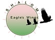 Shalom Eagle's Wings logo PNG.png