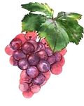 uva rossa_edited.png