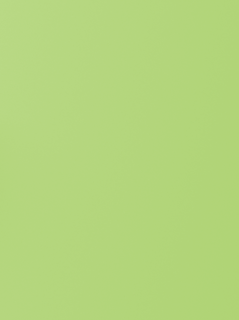 Stickers creativos con el logo de Neko Studio