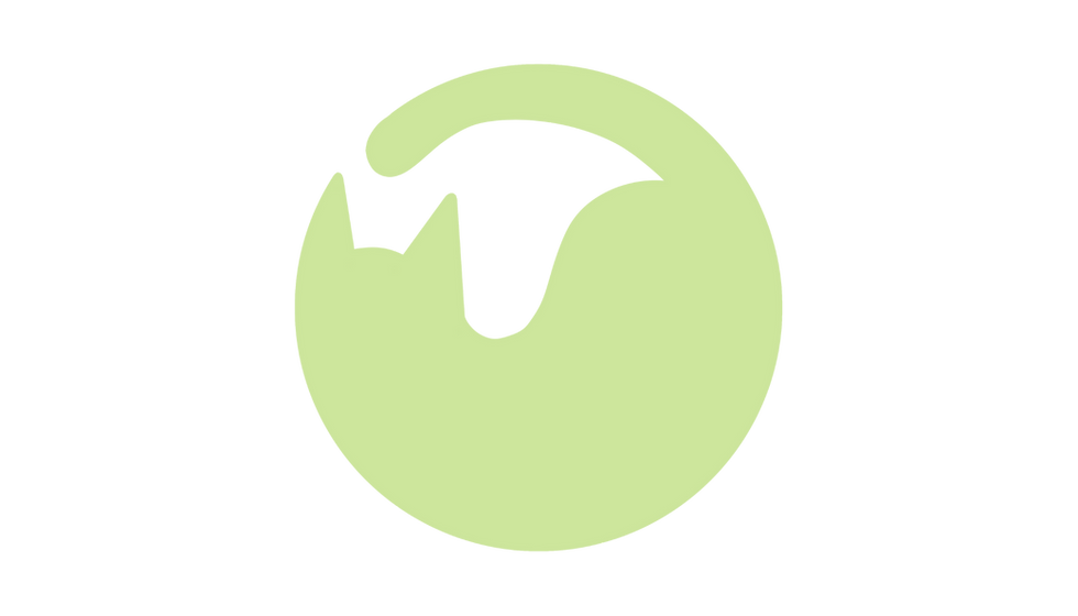Logo de Neko Studio en verde claro, fondo transparente