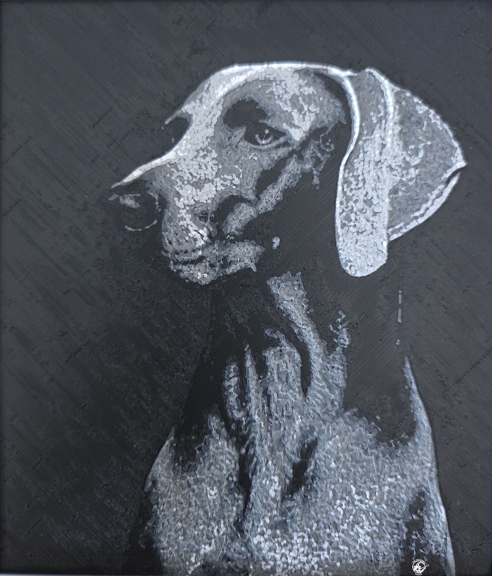 3D Layered relief artwork of a Weimaraner titled "The Watchful Line".