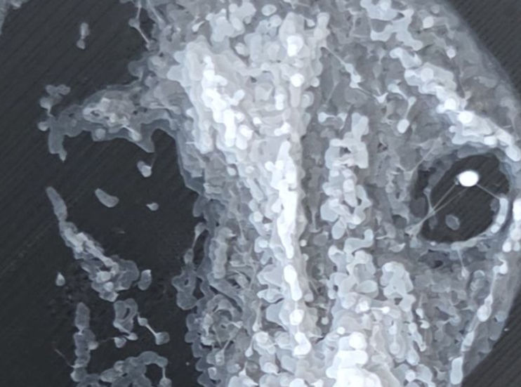 Close-up showing the 3D layered texture of the "The Blanket Burrower" 3D relief artwork.