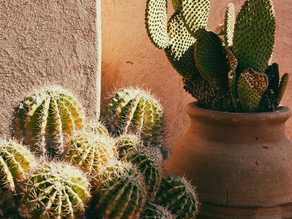 Marrakesh, Morocco: Your Ultimate Winter-Sun Travel Destination!