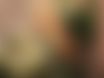 Marrakesh, Morocco: Your Ultimate Winter-Sun Travel Destination!