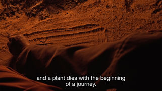 Galb_Echaouf _Abdessamad_El_Montassir_03.jpg