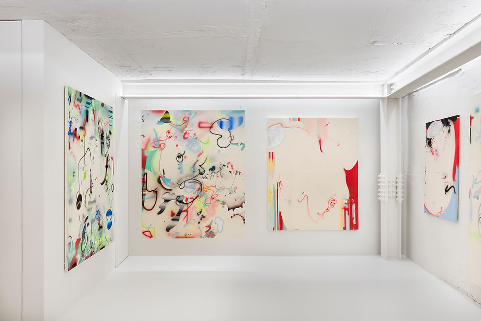 installation view