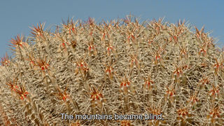 Galb_Echaouf _Abdessamad_El_Montassir_02.jpg