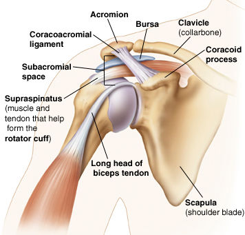 Shoulder Impingement Syndrome