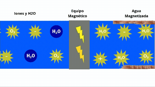 Adobe Express - Iones (1) (1).gif