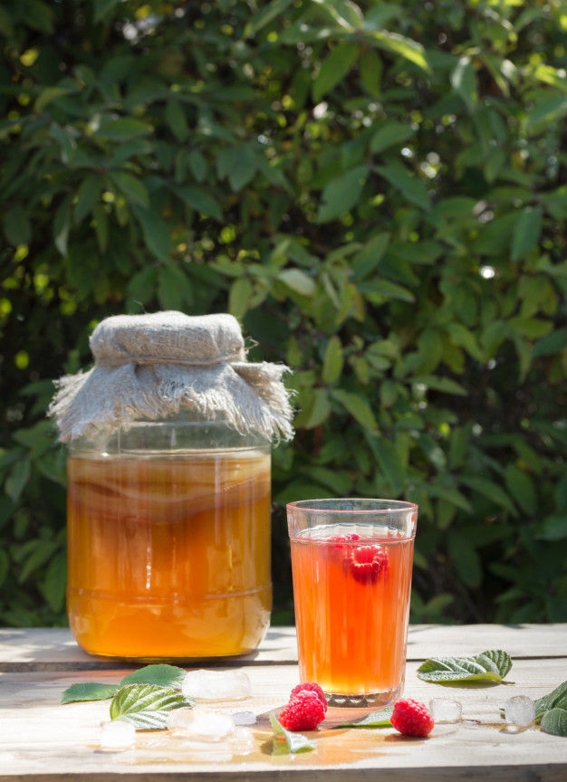 Miniatura: Kombucha