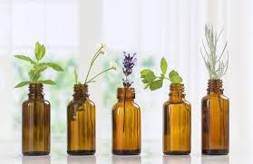 AROMATERAPIA: OS BENEFÍCIOS DE INCLUIR ÓLEOS ESSENCIAIS NO DIA A DIA