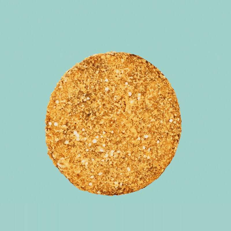 Pumpkin_Spinach_Burger_Full.gif