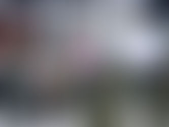 Panglima TNI Didampingi Kapolri Sambut Kedatangan Jenazah Korban Kelompok Separaratis Di Papua