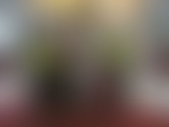 Meriah Pernikahan Muh Airlangga Yamin Dengan Dhea Salsabilah Nadia Di Gedung Haji Bate Gowa.